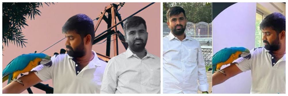 कर्नाटक : अडीच लाख रुपयांच्या ‘या’ पोपटाला वाचवताना मालकाला गमवावा लागला जीव, नेमकं काय झालं?