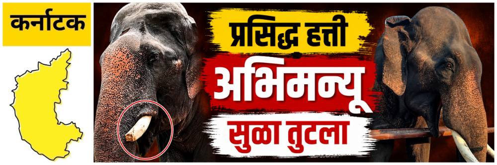 news_69792