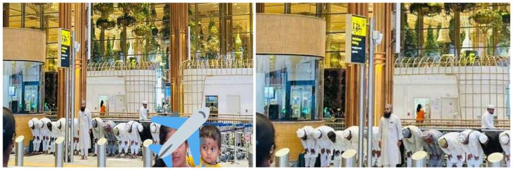 कर्नाटक : बंगळुरु विमानतळ; नमाज पठण; व्हिडीओ व्हायरल