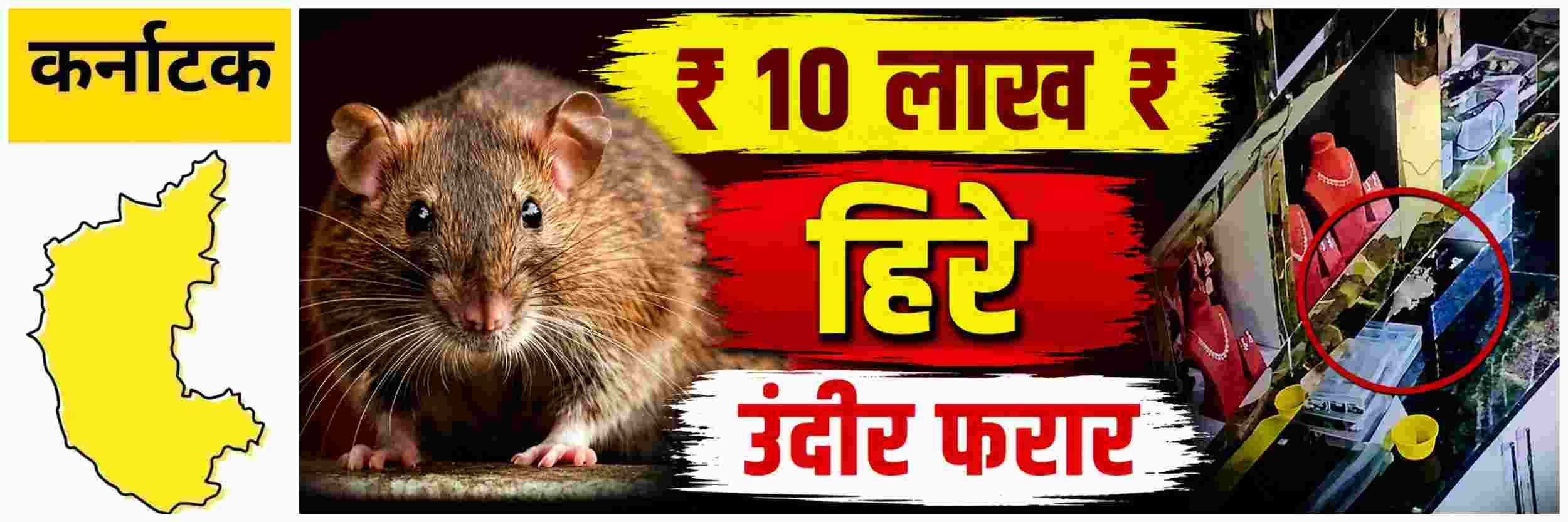 @ कर्नाटक; ₹ 10 लाख रुपयांचे हिरे घेऊन उंदीर फरार
