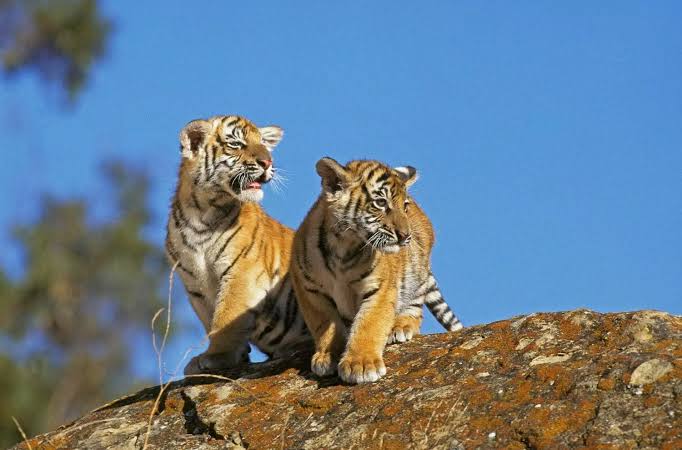 news_59043