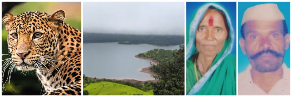 बिबट्याच्या हल्ल्यात नाही, तर...; दाम्पत्याच्या मृत्यूचा उलगडा करण्यात पोलिसांना यश