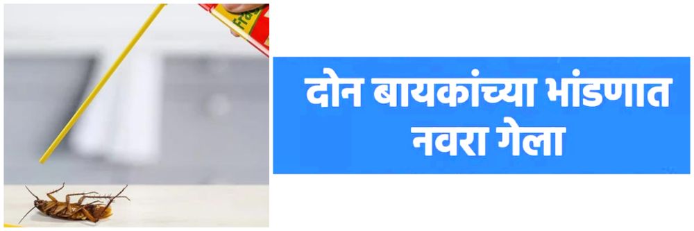 एक स्प्रे मारला अन् जागीच घेतला जीव