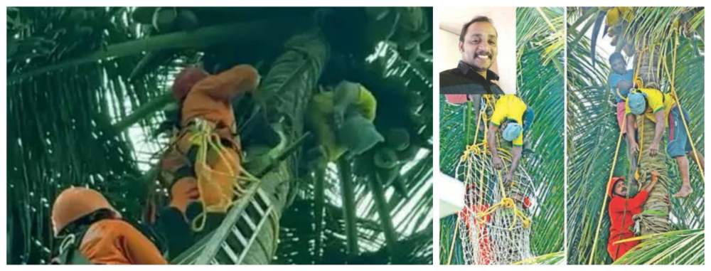 कोणाचा काळ कधी येईल… धक्कादायक.... कधी रस्त्यावर, कधी घरात.. आता थेट झाडावरचं