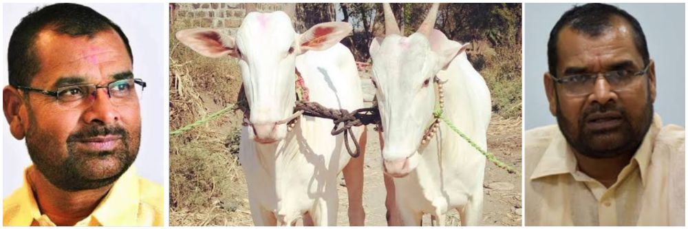 माझ्या वाटेला गेलात तर...! तुमच्या xxx नांगराचा फाळा..