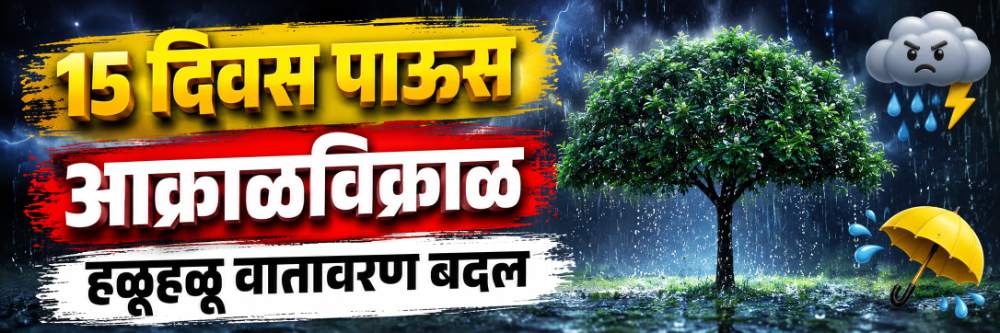 ही वादळापूर्वीची शांतता; पुन्हा आक्राळविक्राळ पावसाची शक्यता