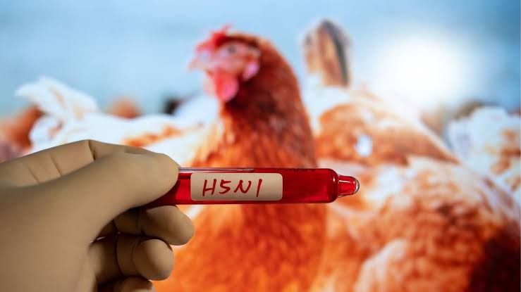 कर्नाटकात अलर्ट. शेजारील राज्यांमध्ये H5N1