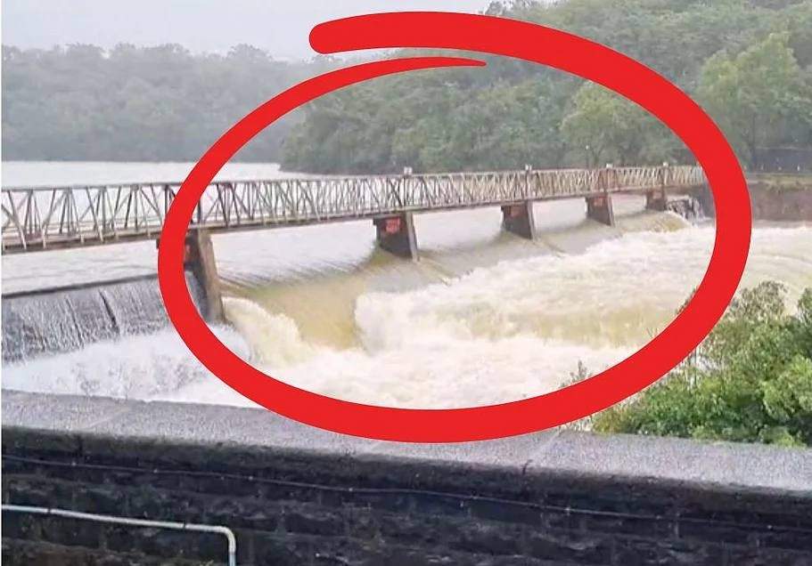दमदार पावसामुळे राधानगरी धरणाचे 4 स्वयंचलित दरवाजे उघडले