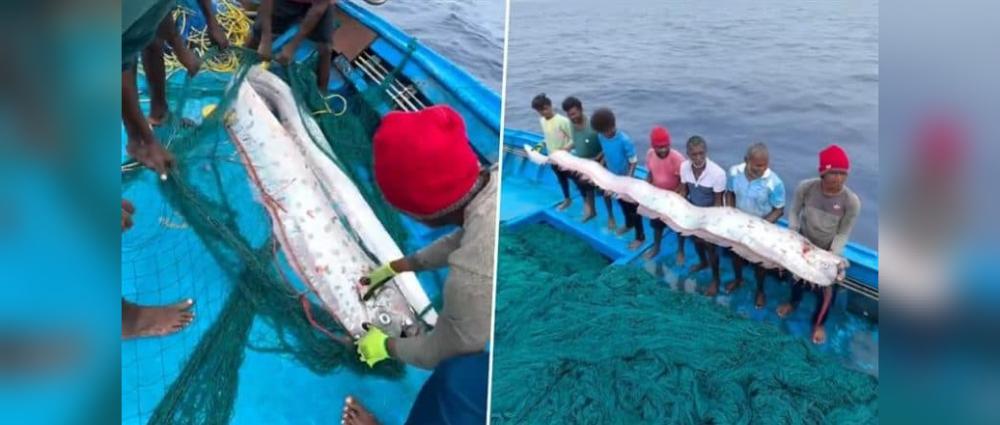 Rare 'doomsday fish' : नैसर्गिक विध्वंसाचे संकेत देतो हा मासा 