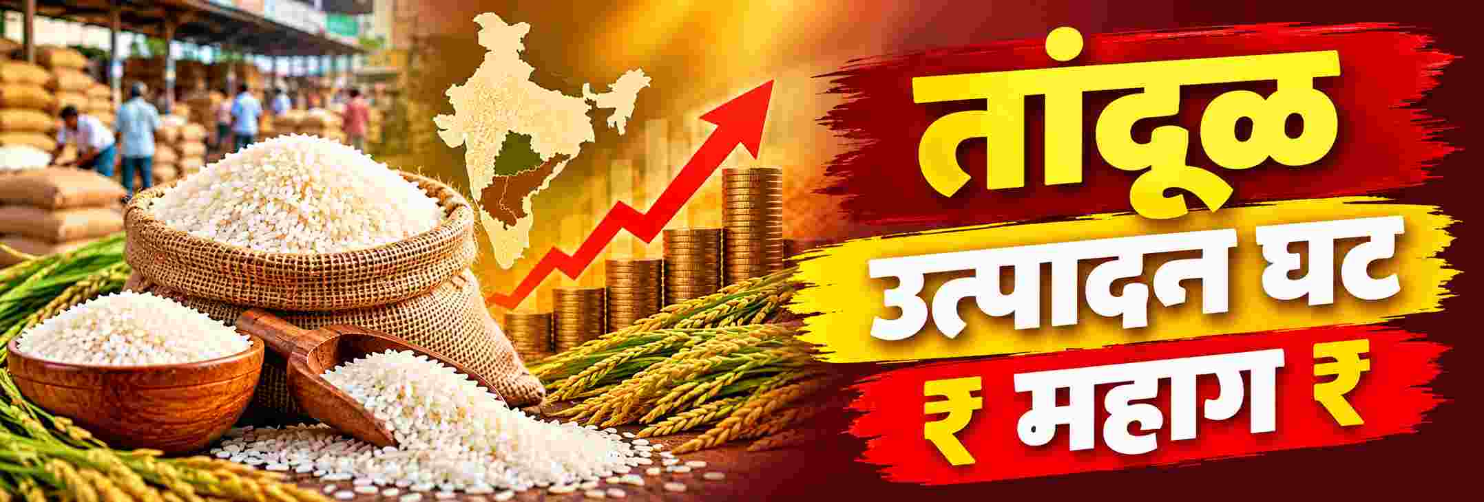 भारताची तांदूळ निर्यात दबावाखाली; भारताकडे तांदळाचा विक्रमी साठा
