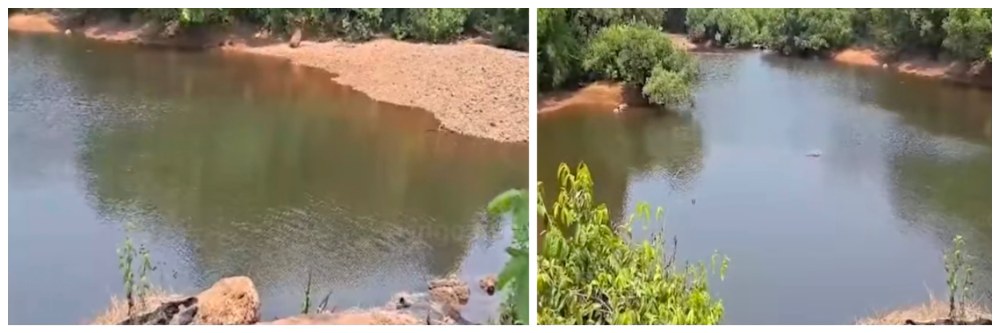 tragedy-strikes-canacona-two-minors-drown-two-boys-drown-in-vajrem-river-in-canacona-talpona-river-at-vajrem-in-bhatpal-canacona-two-boys-drown-in-vajrem-river-in-canacona-talpona-river-at-vajrem-in-20260426.jpg | 2 चिमुकल्यांचा बुडून मृत्यू; गोव्यातील वज्रे नदीपात्रात दुर्घटना | belgaum news | belgavkar बेळगावकर