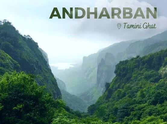 trekking-to-andharban-watch-this-viral-video-monsoon-rush-forces-early-shutdown-of-andharban-trek-as-overcrowding-sparks-safety-alarms-watch-viral-video-202507.jpg | अंधारबनला ट्रेकिंगसाठी जात आहात? मूर्ख लोक जे निसर्गाचा सत्यानाश…. | belgaum news | belgavkar बेळगावकर