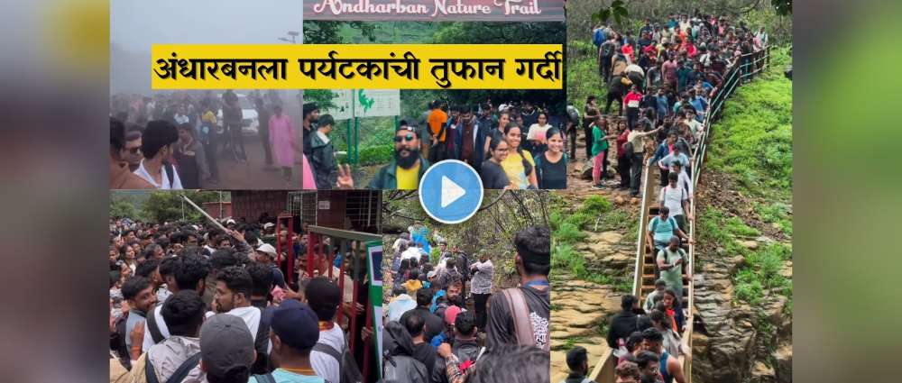 अंधारबनला ट्रेकिंगसाठी जात आहात? मूर्ख लोक जे निसर्गाचा सत्यानाश….