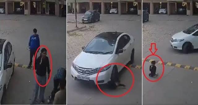 video-car-runs-over-child-playing-in-ghaziabad-society-202502.jpg | Viral Video : चिमुकला सोसायटीत खेळत होता, कारने चिरडलं... | belgaum news | belgavkar बेळगावकर