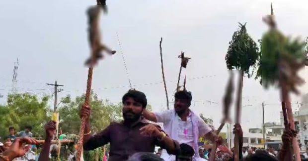 news_55543