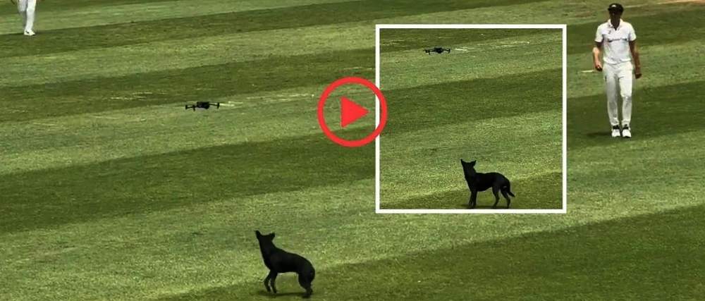 Video : क्रिकेट मैदानात आलेल्या कुत्र्याला ड्रोनने घाबरवलं Watch Video