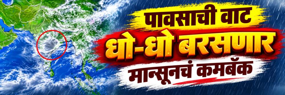 मान्सूनचं कमबॅक; 'या' ठिकाणी धो—धो बरसणार;